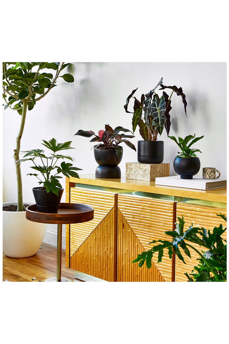 Franklin 17 Self Watering Planter, Alternate, color, MATTE BLACK