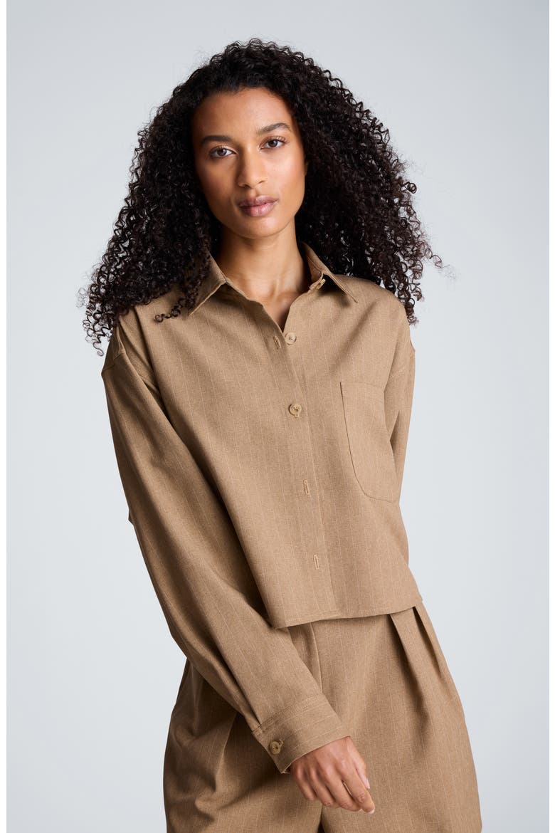 Pinstriped Oversized Cropped Shirt, Alternate, color, PEANUT HEATHER/ OYSTER