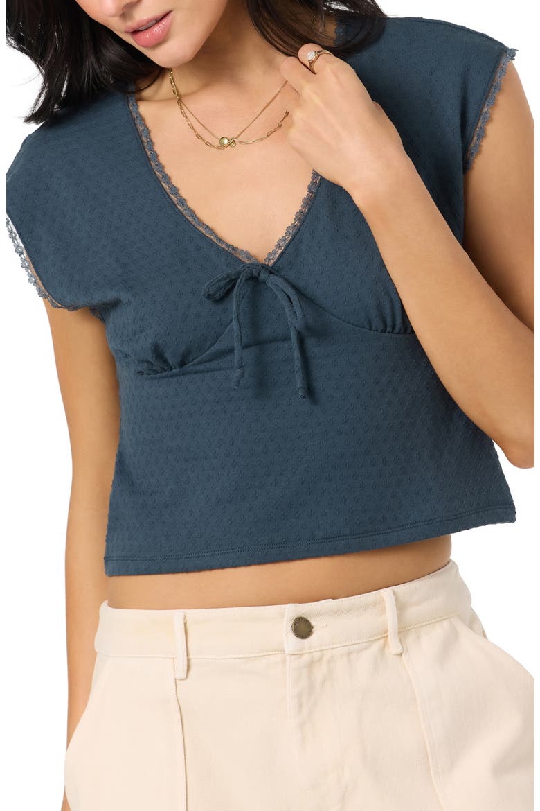 Tamilyn Textured Crop Top, Alternate, color, SLATE