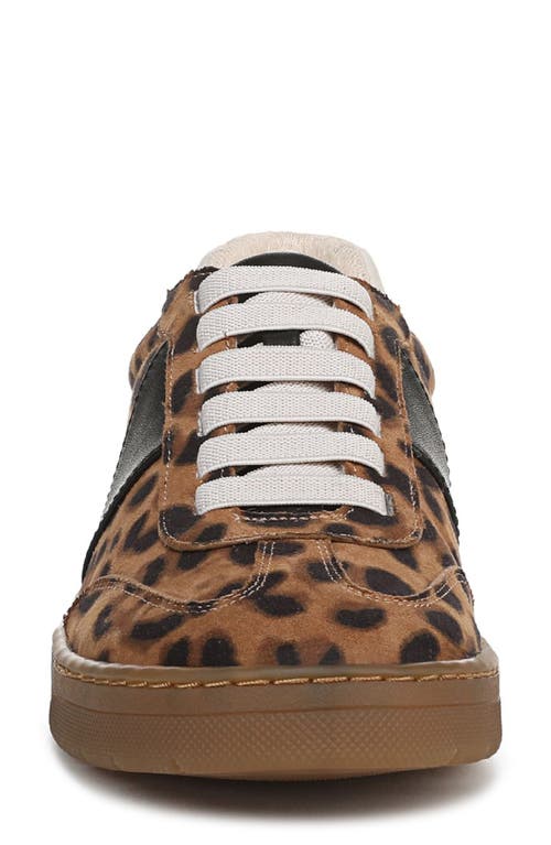 Franco Sarto Ponti Sneaker In Brown