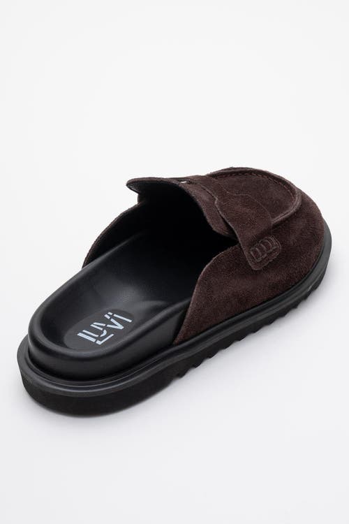 Forever & Always Shoes Laven Suede Leather Clogs In Brown