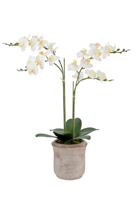 Artificial 2-Stem Phalaenopsis White Orchid