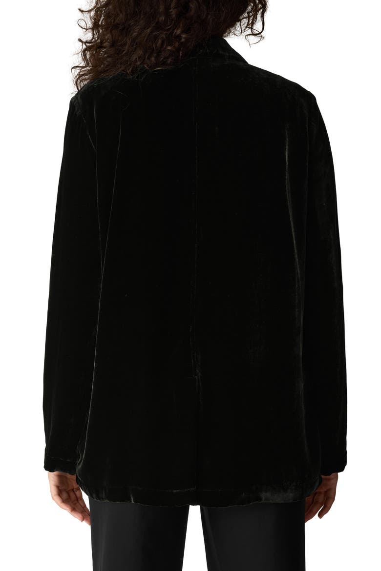 Velvet Long Blazer, Alternate, color, BLACK