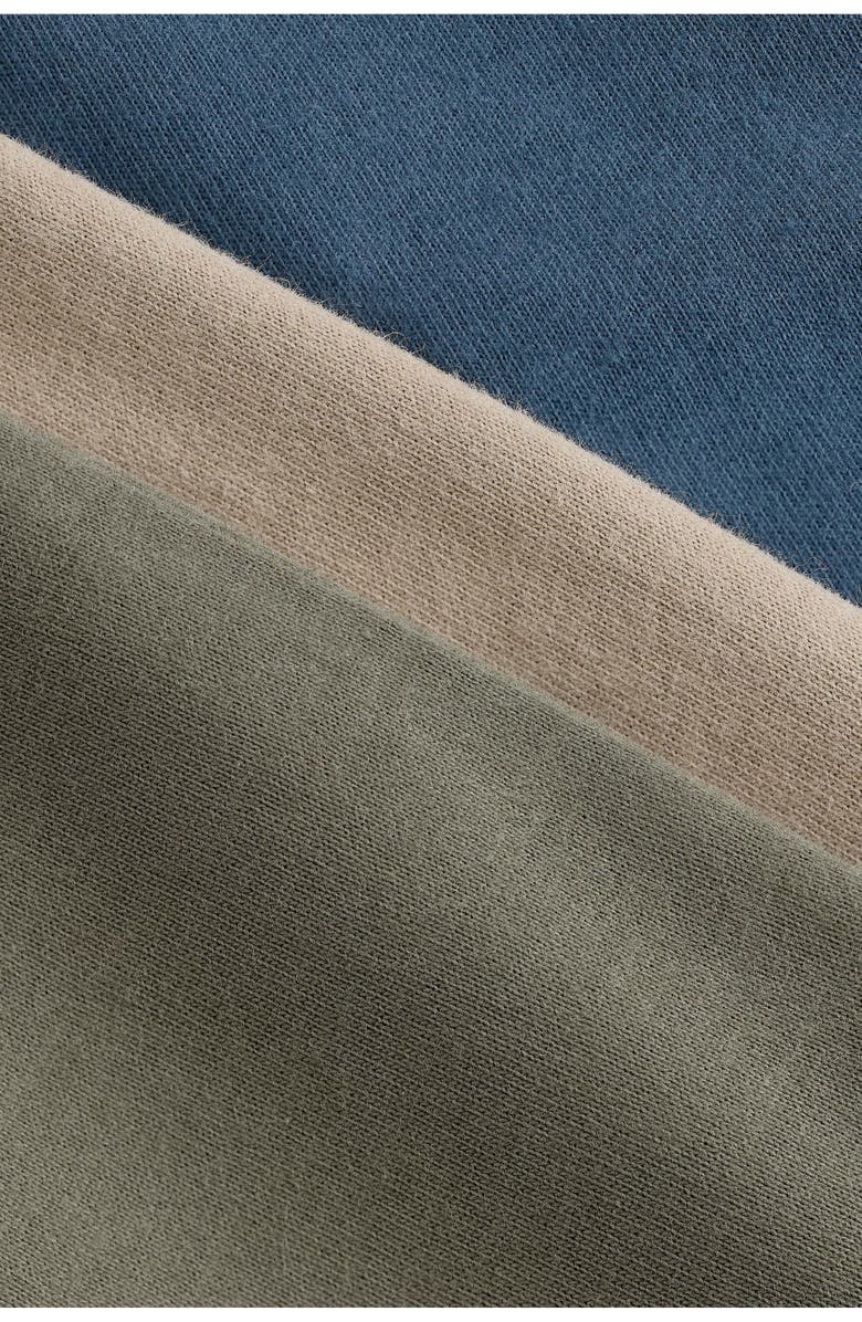 smALLSAINTS by ALLSAINTS Kids' Assorted 3-Pack Ramskull Embroidered T-Shirt, Alternate, color, 