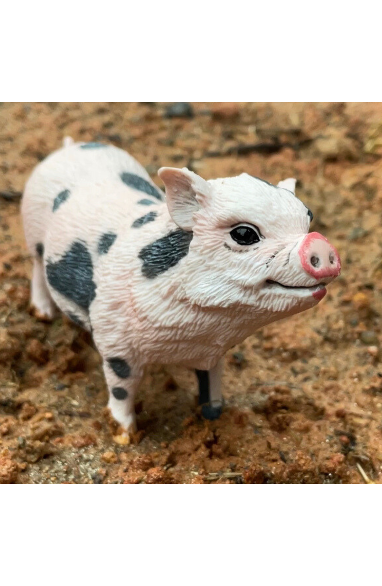 Safari Ltd. Pot-Bellied Pig Toy, Alternate, color, NO COLOR