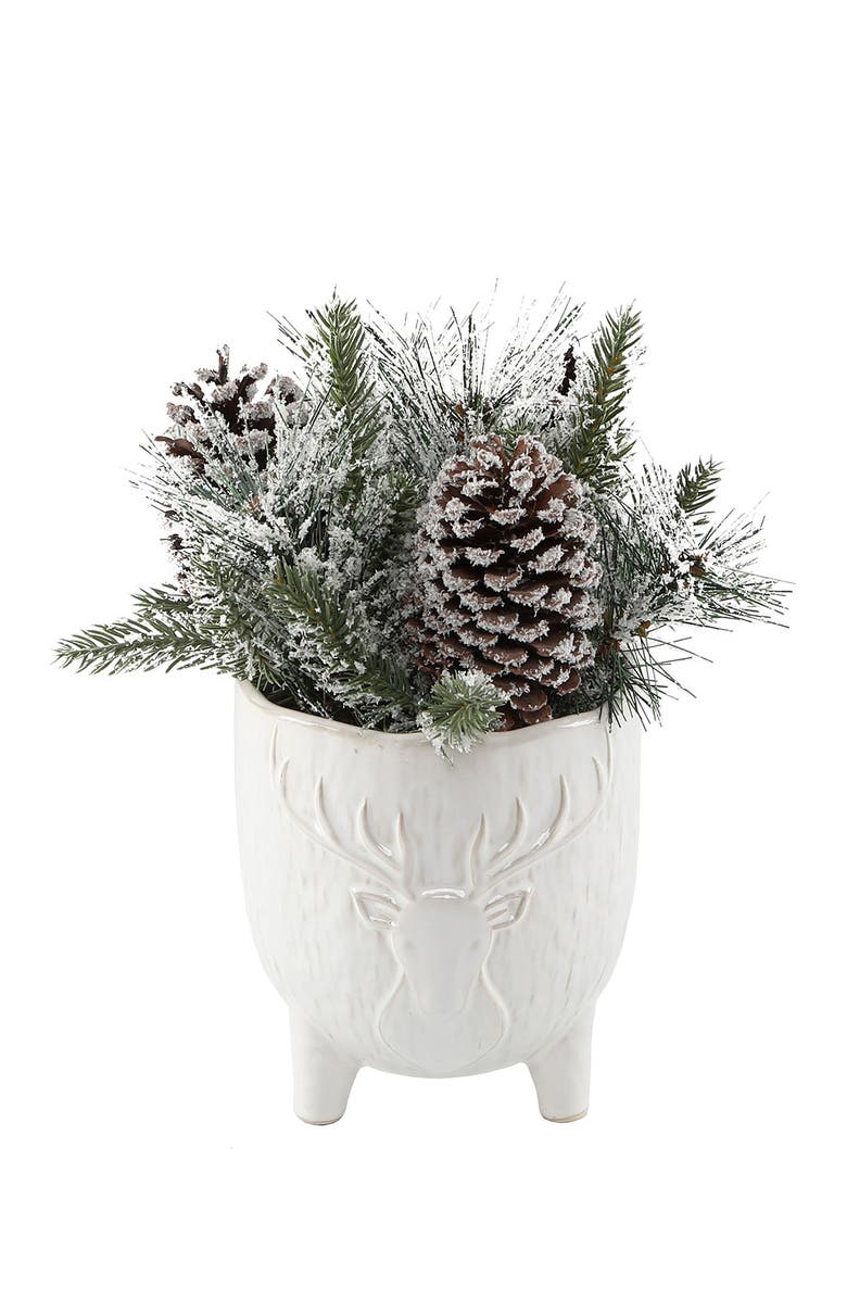 FLORA BUNDA Xmas Mix in 6" Stag Head Ceramic Footed Pot, Main, color, White