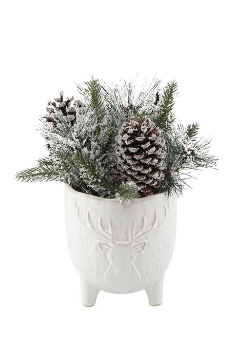 Xmas Mix in 6" Stag Head Ceramic Footed Pot