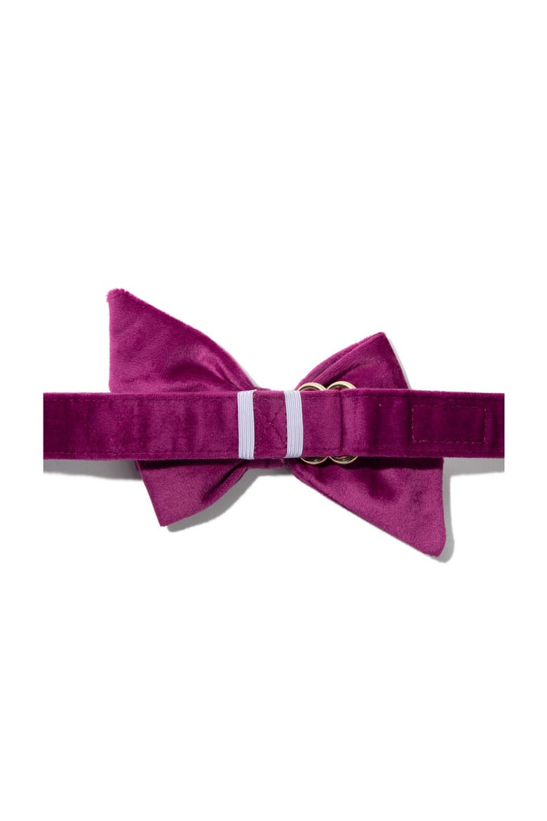August Babe Bow, Alternate, color, August