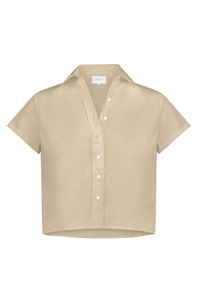 The Shirt by Rochelle Behrens The Boxy Cropped Short Sleeve Shirt, Alternate, color, Taupe