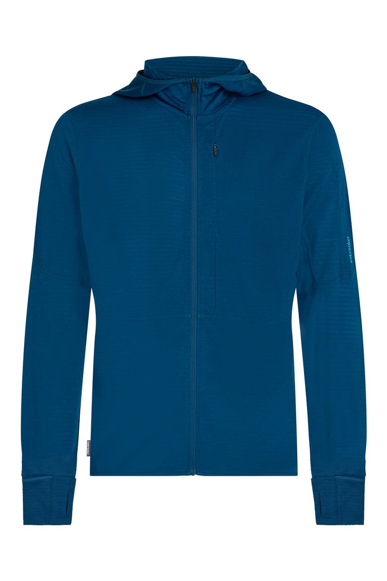 Lyocell & Merino 200 Realfleece Descender Hooded Jacket, Alternate, color, ATLANTIS/ ARCTIC