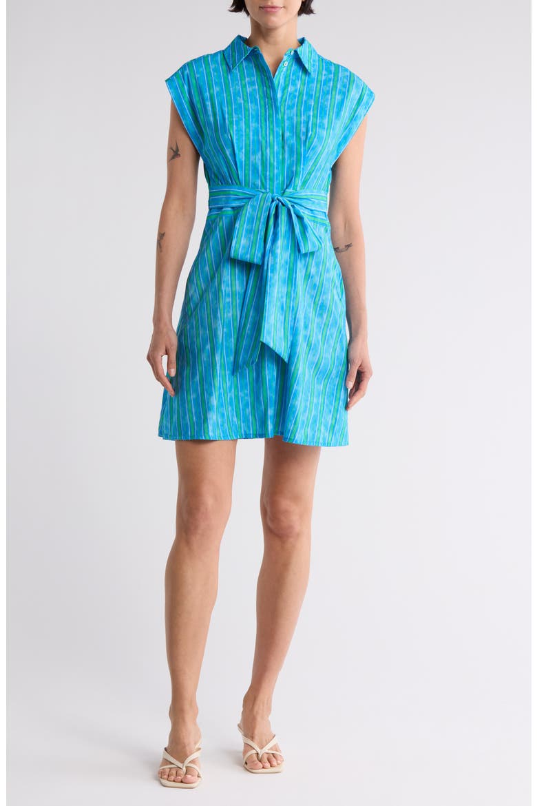 Cap Sleeve Shirtdress, Main, color, BLUE GREEN MULTI STRIPE