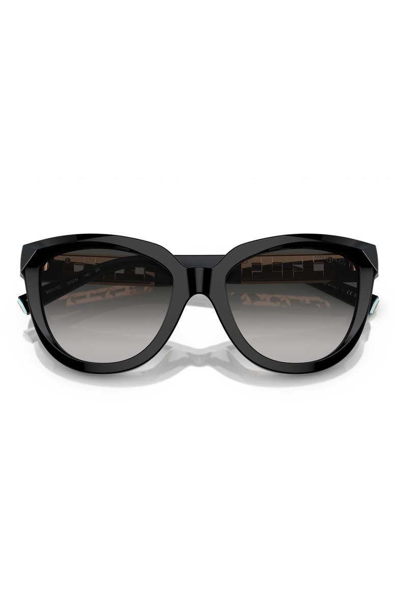 Tiffany & Co. 53mm Gradient Cat Eye Sunglasses, Alternate, color, Black