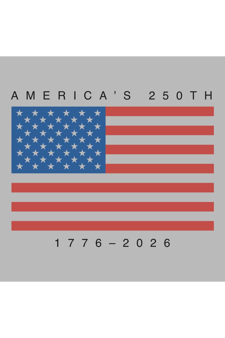 Men's Lost Gods America 250th Anniversary Flag  Graphic T-Shirt, Alternate, color, Sport Grey