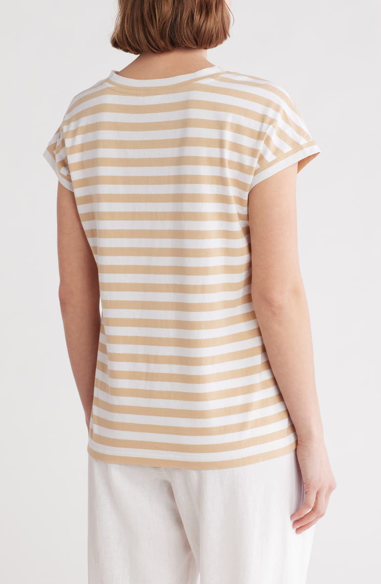 Caslon<sup>®</sup> Stripe Cotton V-Neck T-Shirt, Alternate, color,