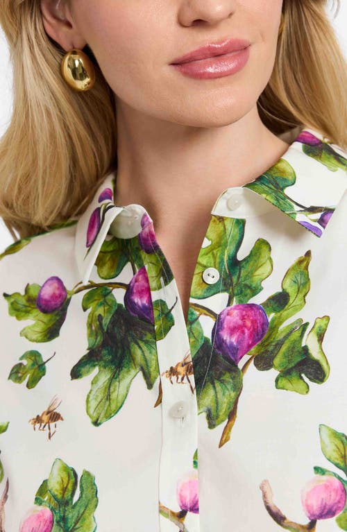 Foxcroft Hampton Figs Print Stretch Cotton Button-up Shirt In Multi