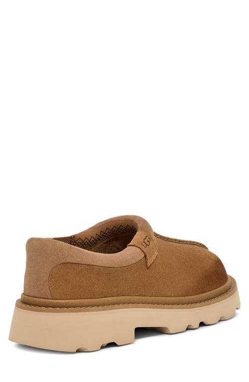 Ugg(r) Tasman Lug Sole Clog In Chestnut