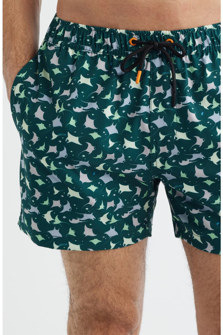 Ademir Swim Trunks, Alternate, color, MANTE - ANIMAL FREE