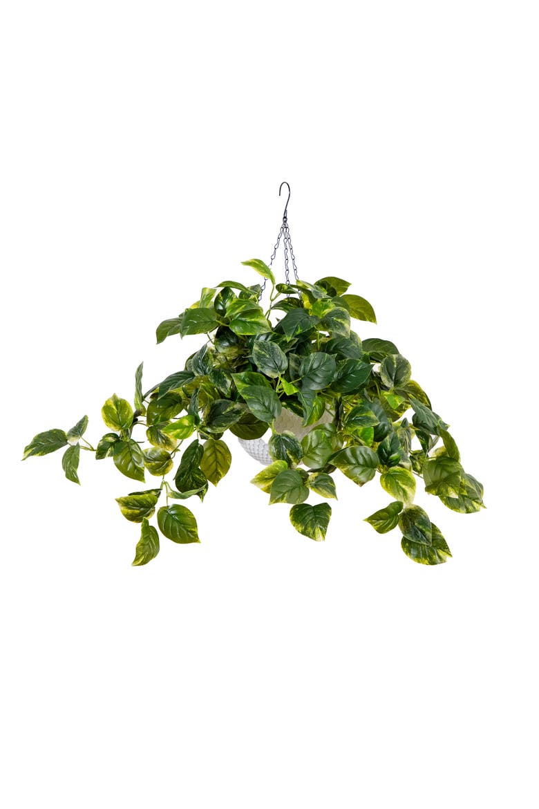 24-inUV Resistant Artificial Pothos with 50 Warm White LED Lights in White Hanging Basket, Main, color, Green