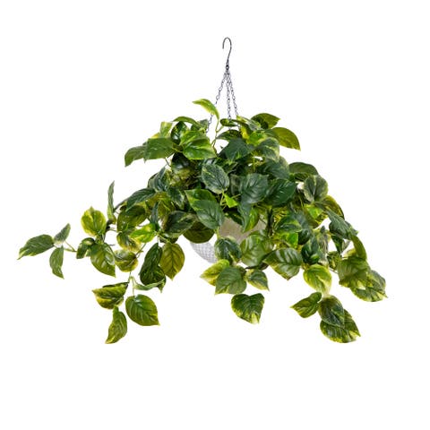24-inUV Resistant Artificial Pothos with 50 Warm White LED Lights in White Hanging Basket (Indoor/Outdoor)