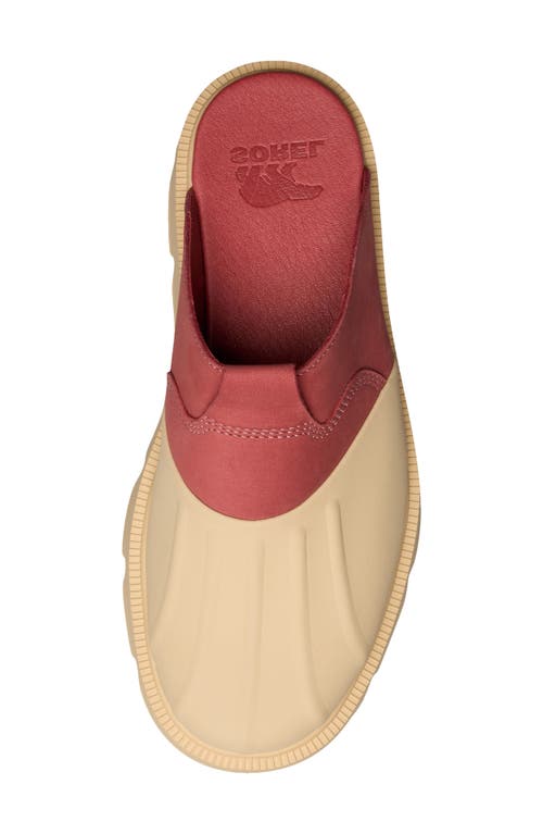 Sorel Rein Cb™ Clog In Multi