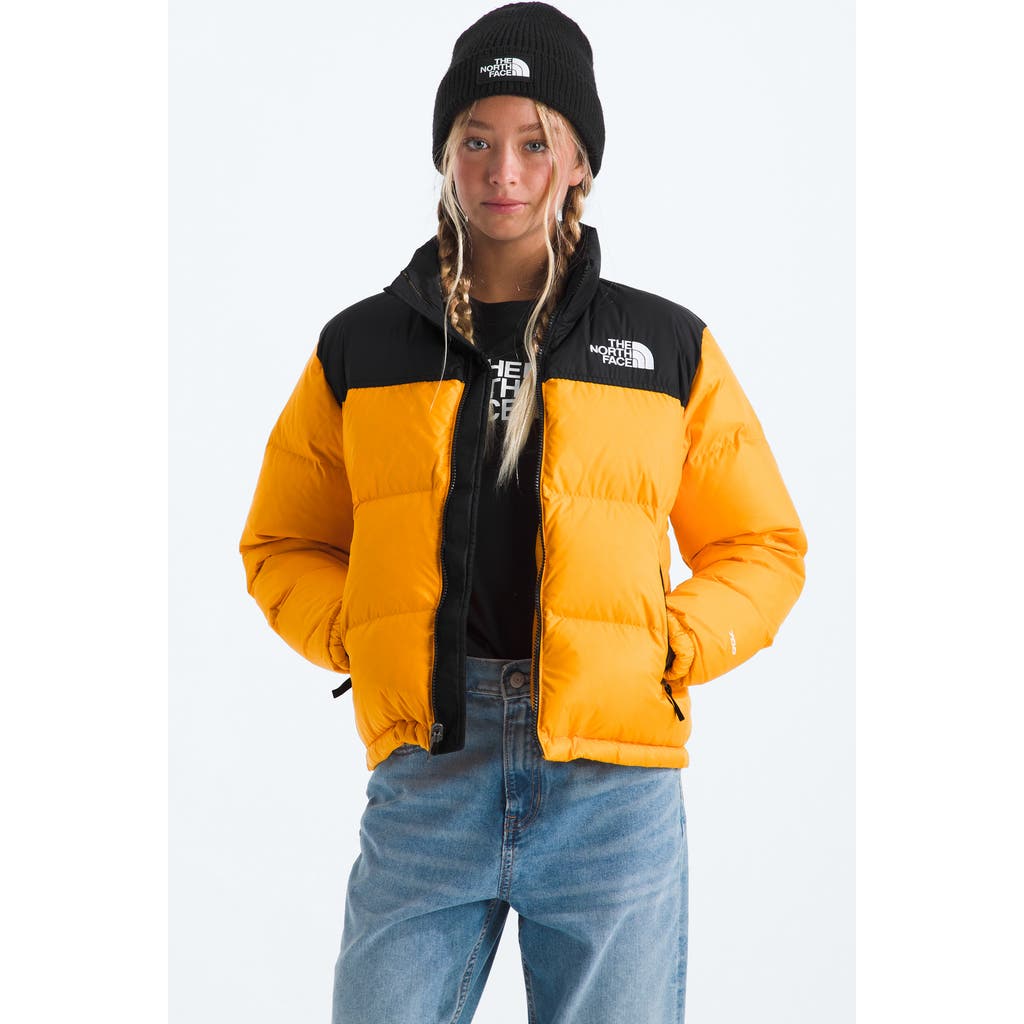 The North Face Big Kids 1996 Retro Nuptse Jacket In Multi