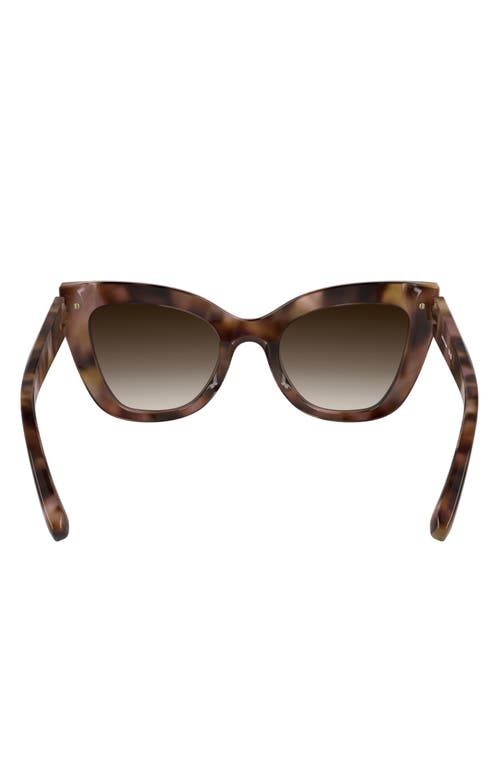 Longchamp Roseau 50mm Gradient Cat Eye Sunglasses In Rose Havana