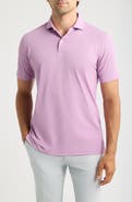 Peter Millar Soul Performance Polo