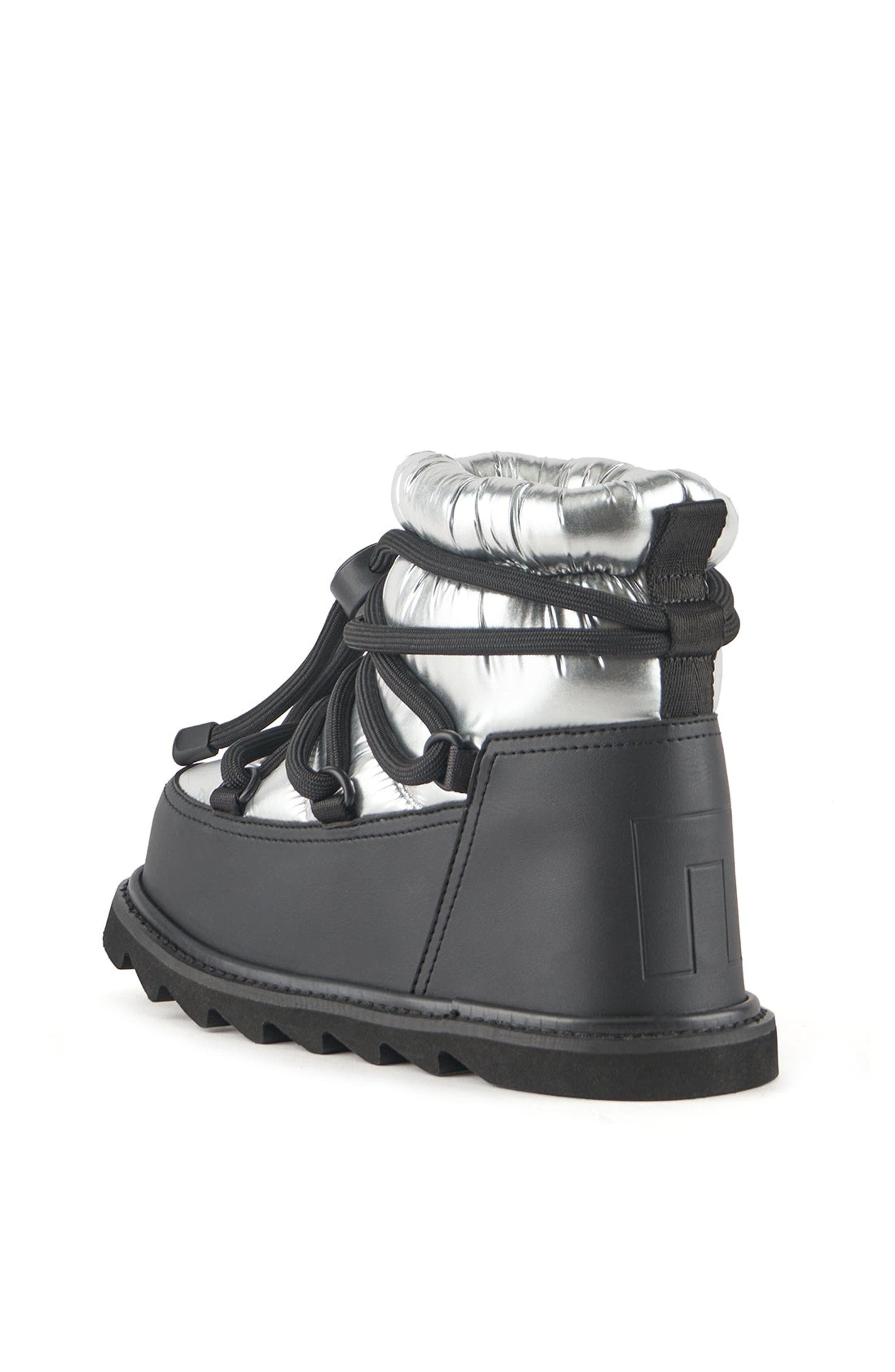 Zembla Artic, Alternate, color, Silver