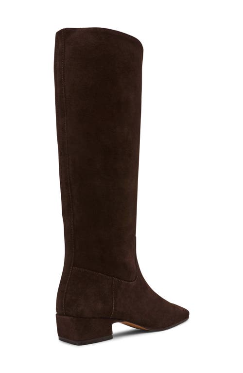 Steve Madden Dantelle Knee High Boot In Brown