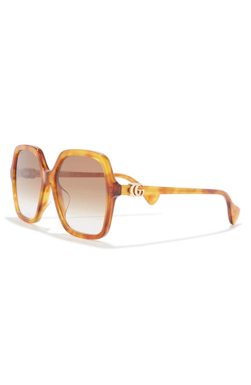 Gucci 56mm Gradient Square Sunglasses In Havana Havana Brown