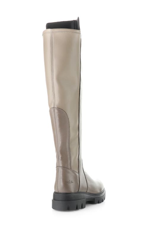 Bos. & Co. Fifth Waterproof Knee High Boot In Neutral