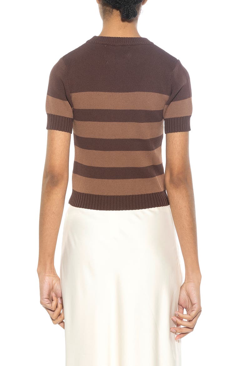 Pat Stripe Short Sleeve Sweater Top, Alternate, color, BROWN