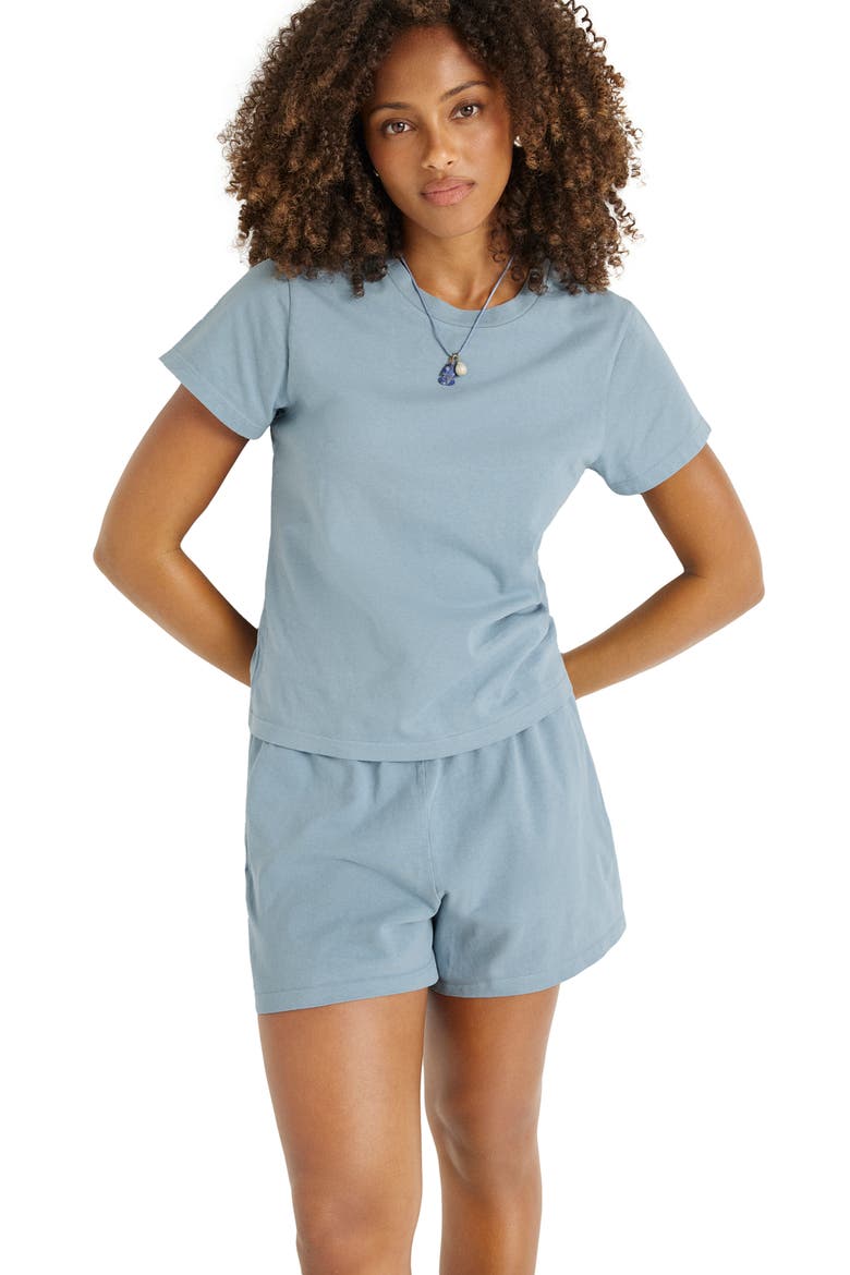 Coast Fitted Cotton T-Shirt, Alternate, color, DUSK BLUE