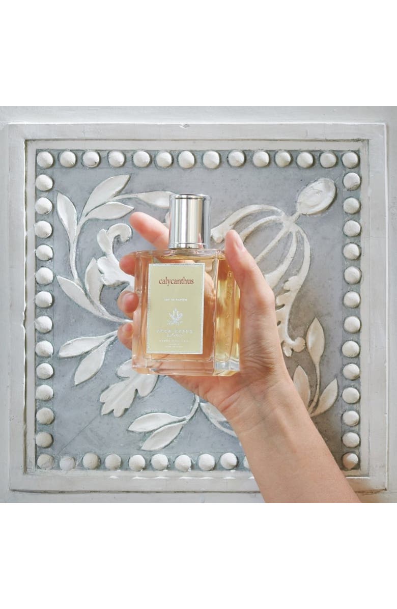 ACCA KAPPA Calycanthus Eau de Parfum, Alternate, color, White