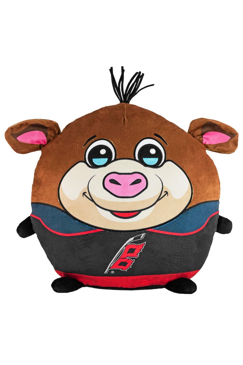 Carolina Hurricanes Kiri Cloud Plushie, Main, color, None