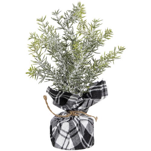 Northlight Mini Frosted Pine Artificial Christmas Trees In Multi