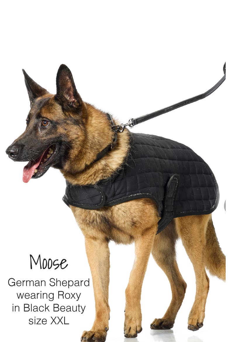 Roxy Crystal Bling Faux Leather Dog Coat, Alternate, color, BLACK BEAUTY