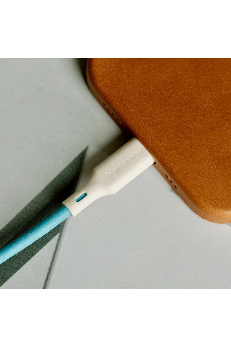 The Companion USB-C to USB-C Cable  4FT, Alternate, color, Blue