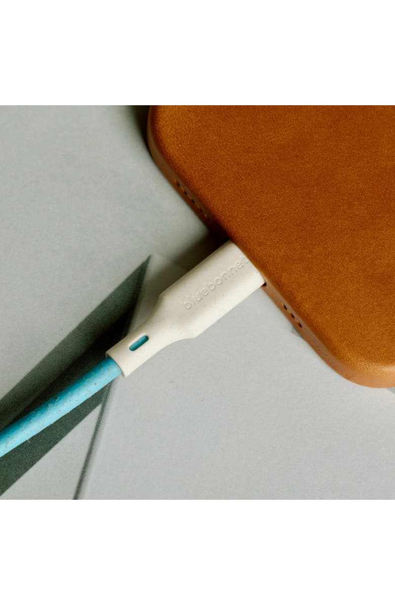 Bluebonnet The Companion USB-C to USB-C Cable 4FT, Alternate, color, Blue