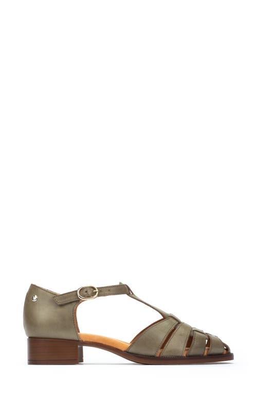 Pikolinos Valencia T-strap Sandal In Sage