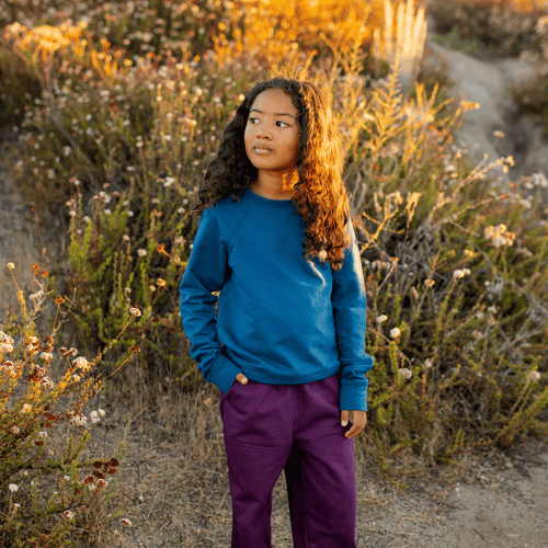 Jackalo Stevie Raglan Sweatshirt In Peacock Blue