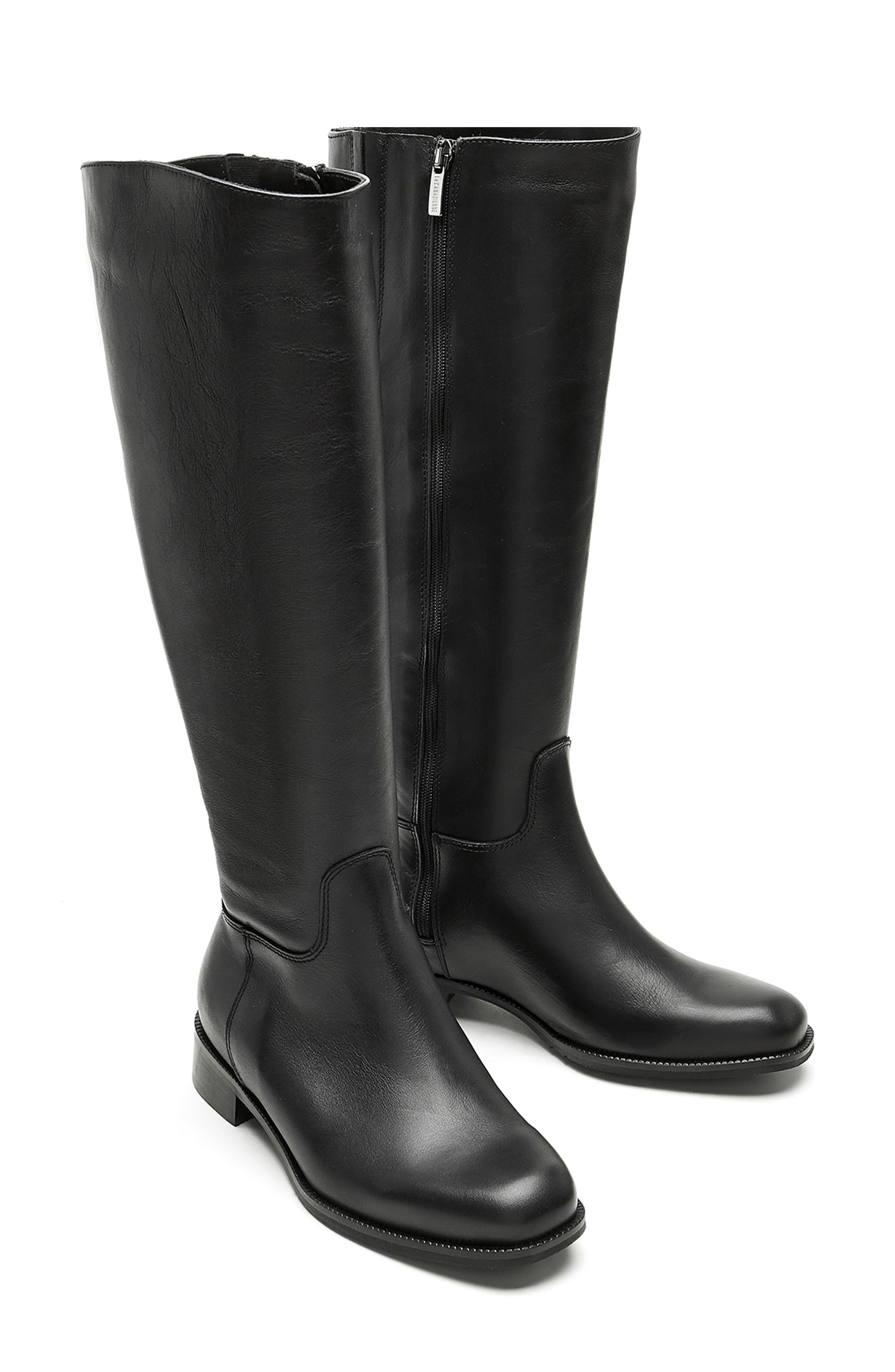 La Canadienne Segal Waterproof Tall Boot, Alternate, color, Black