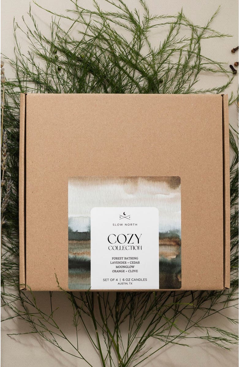 SLOW NORTH Cozy Collection - 4 Pack, Alternate, color, NO COLOR