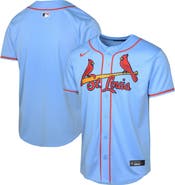 Nike Youth Nike Light Blue St. Louis Cardinals Alternate Limited Jersey