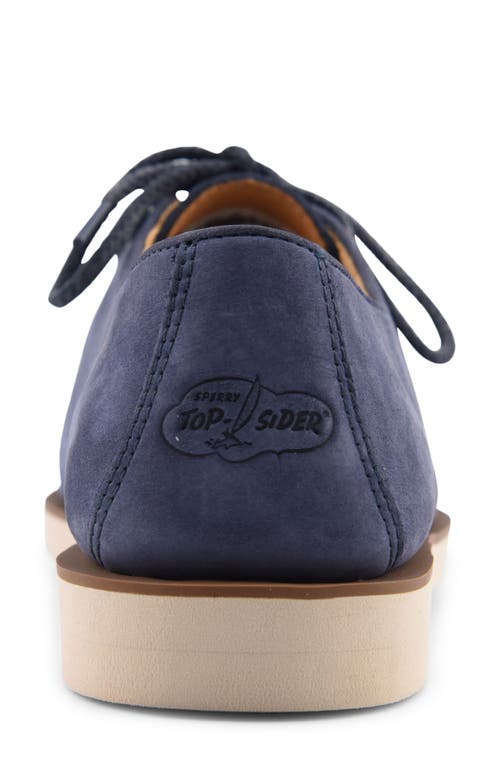 Sperry Captains Oxford