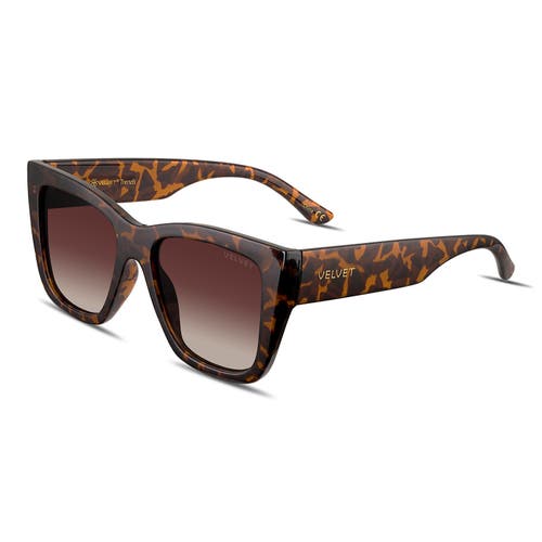 Velvet Eyewear Heart Face Shape Sunglass Style Box In Brown