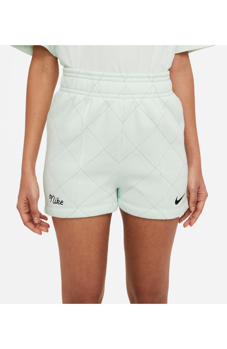 Nike Sportswear Quilted Fleece Shorts, Alternate, color, 