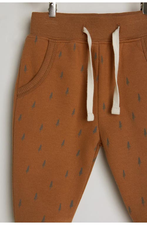 Babycottons Jogger Explorer Bb For Infant In Brown