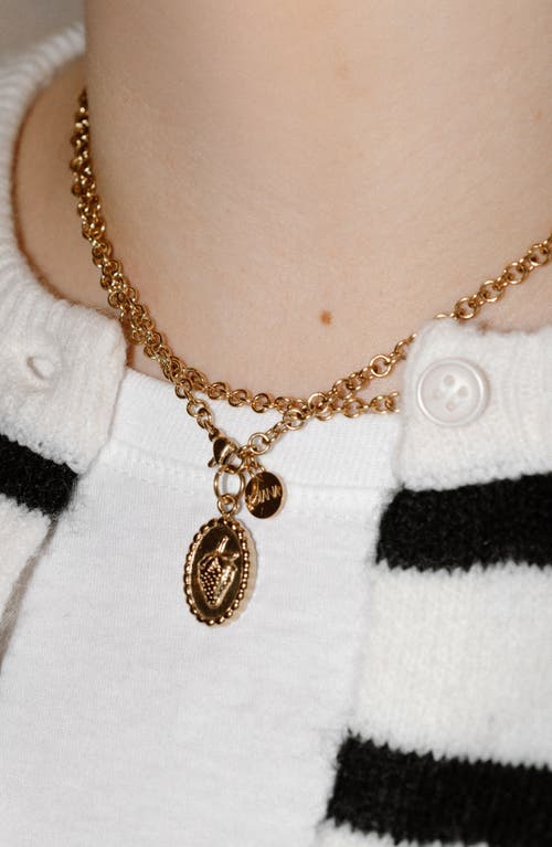 Joiana Jewelry Long Rolo Chain Necklace In Gold