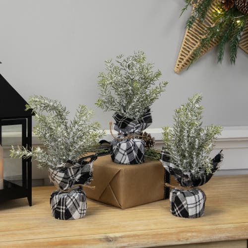 Northlight Mini Frosted Pine Artificial Christmas Trees In Multi